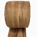 petiri.webp