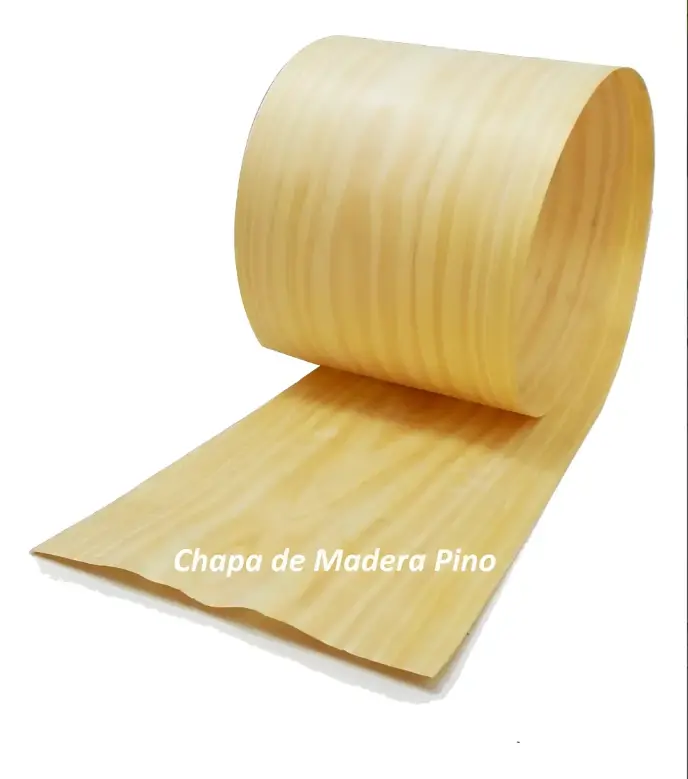 Pino Com1.webp