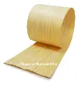 Pino Com1.webp
